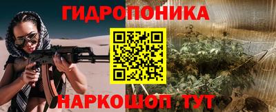 спиды Гусев