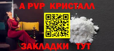 спиды Гусев