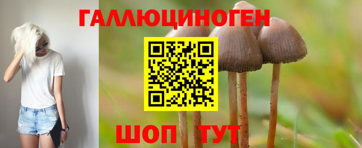 Галлюциногенные грибы мухоморы  Галлюциногенные грибы мухоморы  купить наркотики цена  Мирный  Вход с VPN 